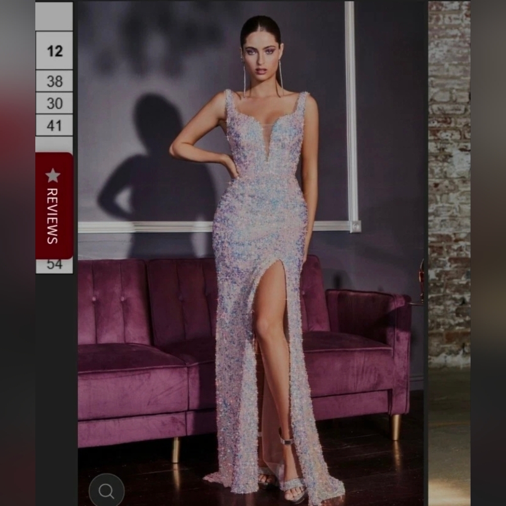 Cinderella Multicolor Sequin Gown